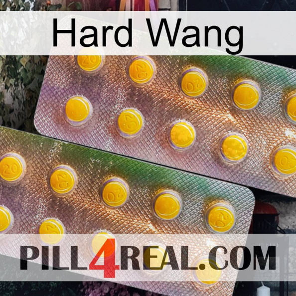 Hard Wang new10.jpg